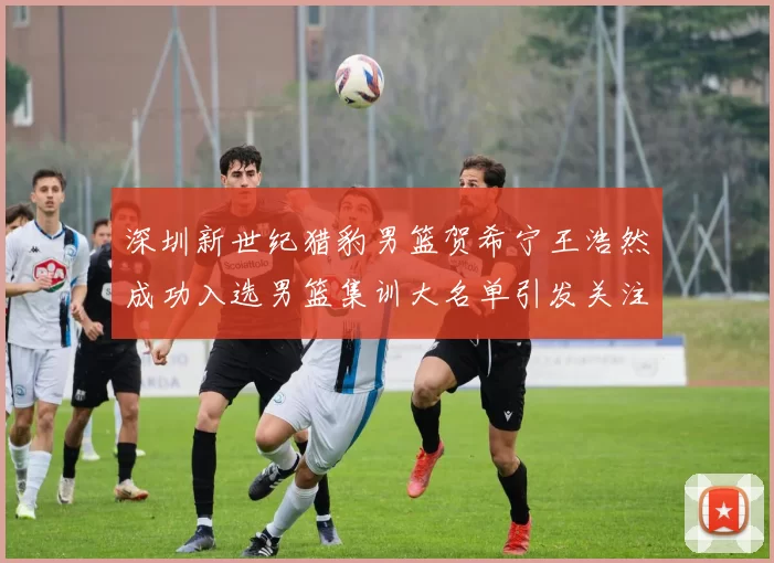 深圳新世纪猎豹男篮贺希宁王浩然成功入选男篮集训大名单引发关注
