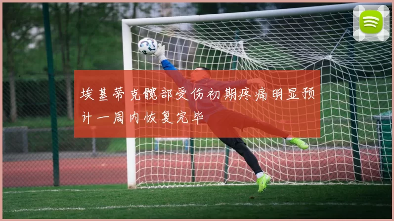 埃基蒂克髋部受伤初期疼痛明显预计一周内恢复完毕