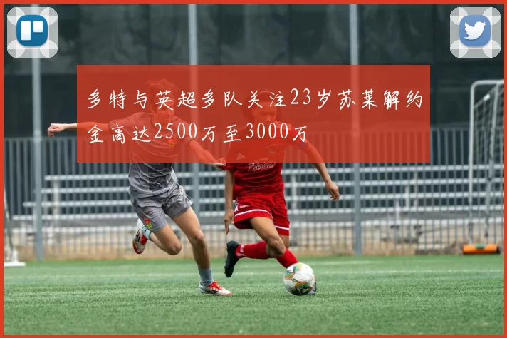 多特与英超多队关注23岁苏莱解约金高达2500万至3000万